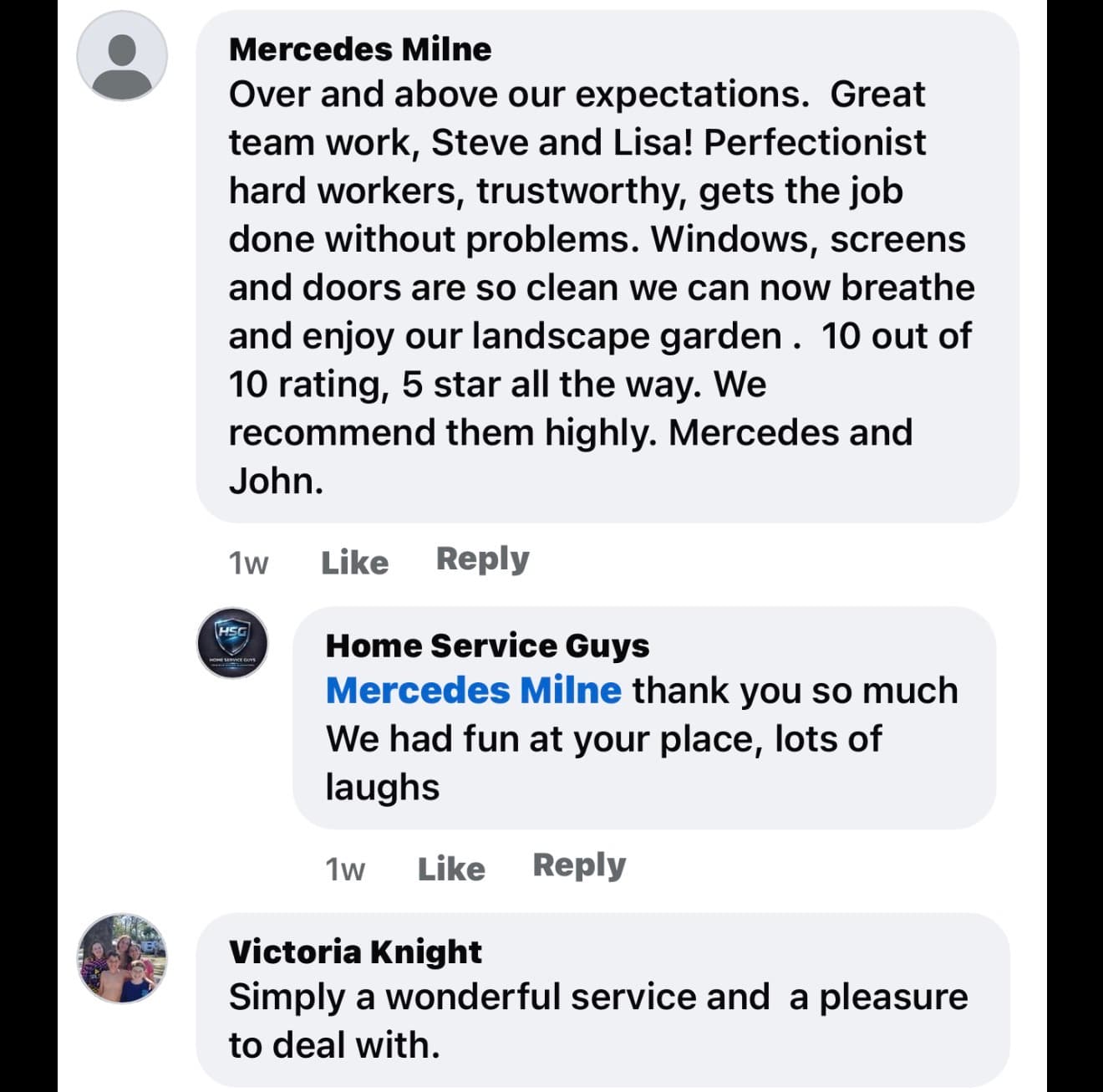 Positive Facebook reviews for Home Service Guys praising their window, screen, and door cleaning.